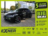 Alfa Romeo Giulia 2,2 JTDM COMPETIZIONE Q4 Leder, LED, DAB - Hof