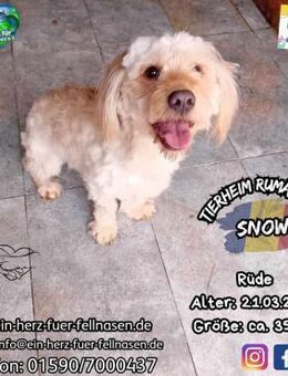 SNOW-aus der Hölle direkt zu dir? - Waakirchen