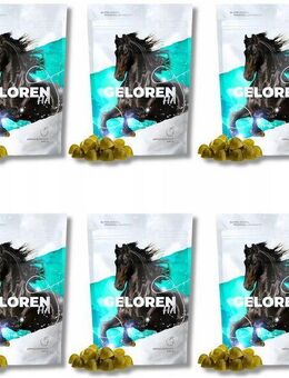 Geloren Horse HA Apfel für Pferde Kollagengelees 6 x (60 Stk., 450 g) Set24252 - Ingolstadt