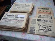 138 Originalzeitungen von 1933 – 1939 - Dollnstein