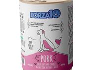 Forza 10 Maintenance Schwein & Hafer - 12 x 400 g