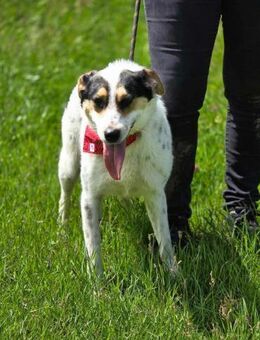 Äußerst soziale kinderliebe NELLY ♥️ - München