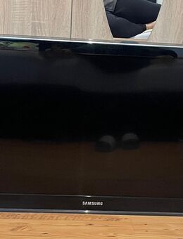 Samsung Fernseher 42 Zoll - Eutin