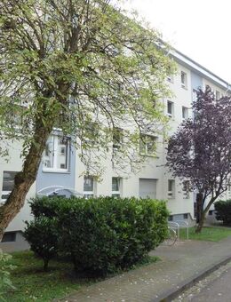 Wunderschön renoviertes Zuhause in begehrter Lage am Panoramabad Bornheim! - Frankfurt (Main)