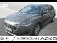 Ford Focus, 1.0 Cool&Connect, Jahr 2022 - Bad Berleburg