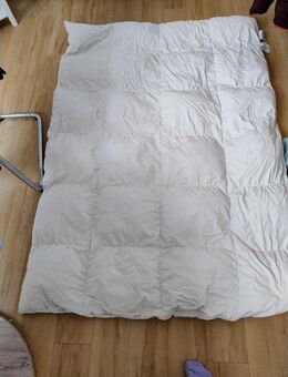 halb Daunen decke - Stuttgart