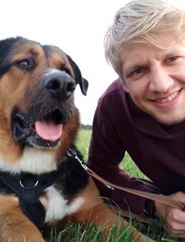 Balu sucht ein liebevolles Zuhause - Creußen