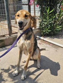 Fidelis: Kinder, Hunde - kein Problem! - Mettmann