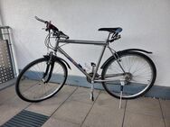 Roadtec Tourenbike Herren - Bad Rappenau