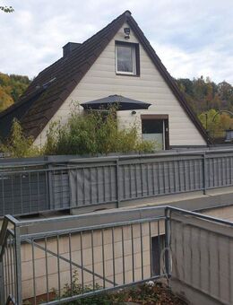 Schöne, frisch renovierte Wohnung mit großer Terrasse und Garten in Freudenberg - Freudenberg (Nordrhein-Westfalen)