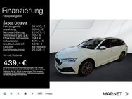 Skoda Octavia, 1.5 TSI Combi Ambition, Jahr 2024 - Bad Nauheim