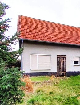 Einfamilienhaus im Rohbau auf großem Doppelgrundstück mit zusätzlicher Bebauungsperspektive - Trebsen (Mulde)