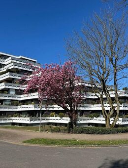 Luxus-Penthouse mit Atelier bietet einzigartigen Rundumblick bis zum Ruhrgebiet und ins Münsterland! - Schermbeck
