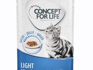 Concept for Life Light - in Gelee - 12 x 85 g