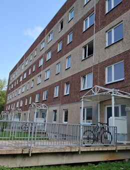 Gepflegtes MFH ( 50 Wohnungen, davon 20 Leerstände) Mieteinnahmen derzeit ca. 93.000,00 €. Grundstücksfl. 16.000m². Hohes Entwicklungspotential! - Apolda