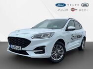 Ford Kuga, 2.5 Duratec ST-Line X, Jahr 2024 - Jena