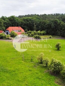 Fachwerkjuwel in Alleinlage: Einzigartiges Landhaus für Pferdeliebhaber mit rd. 3,8 ha arrond. Land - Bienenbüttel