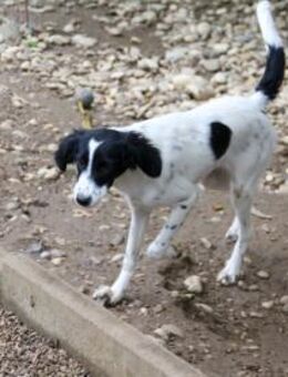 Irena möchte Dein Herz erobern - Schwabach