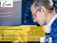 IT-Mitarbeiter (m/w/d) - Homberg (Ohm)