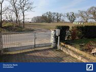 Sehr ruhig und naturnah in der Stadtrandsiedlung - Wittenberg (Lutherstadt)