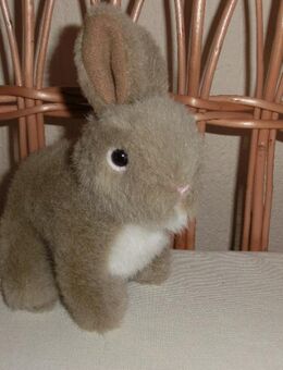 Stofftier "Hase" - Duisburg