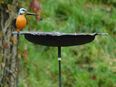 Handgefertigte Futterschüssel mit Eisvogel - Gartenstab - Metall in 48619