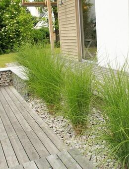 Einfamilienhaus mit Terrasse und Garage - - Weilerbach