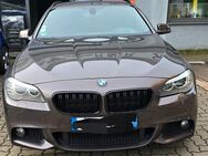 BMW 525d in Sonderlackierung - Rehlingen-Siersburg