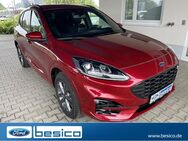 Ford Kuga, ST-Line X iACC, Jahr 2024 - Glauchau