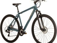 WYLD Mountainbike Heist, 21 Gang, Kettenschaltung