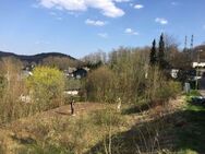 Schöne, sonnige Grundstücke in Siegen-NIEDERSCHELDEN mit top Fernsicht !! - Siegen (Universitätsstadt)