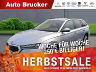 Skoda Octavia Combi Ambition 2.0 TDI+Anhängerkupplung+Alufelgen - Marktredwitz