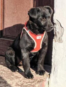 ❤️Ilse - Kissing