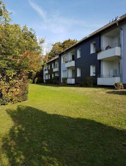 komplett renovierte wunderschöne 4-Zimmer-Wohnung in ruhiger, grüner Lage, volle Küchenvollausstattung. Ab sofort. Stellplatz vorhanden. - Nienburg (Weser)