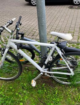 28 Zoll Fahrad - Köln