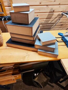 Hundefitness Bodentarget Hundesport Hundetraining - Schloß Holte-Stukenbrock