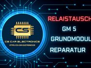 Ich biete hier den Austausch der Relais des Grundmodul 5 GM5 - Passau