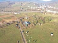 Landwirtschaftliches Grundstück mit Stall vorderer Rheingau - Eltville (Rhein)