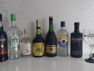 Spirituosen 7 Flaschen (Gin, Calvados, Williams, Portwein, Cognac, Raki) - Abstatt