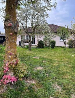 Preis-Reduziert +++ Bungalow in Top-Zustand & bester Lage! - Jürgenshagen