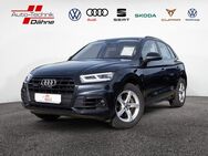 Audi Q5, 3.0 TDI quattro sport, Jahr 2018 - Wittenberge