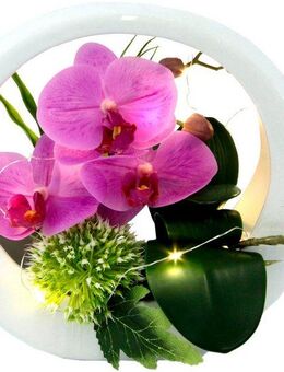 Kunstorchidee Orchidee, I.GE.A., Höhe 20 cm, im Keramiktopf, mit LED-Beleuchtung