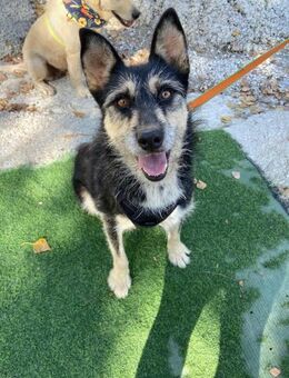 Stella, so nah am Leben,doch eingesperrt - Berlin