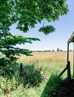 Natur genießen in der Stadt! Doppelhaushälfte mit Potenzial in Flensburg/Tarup - Flensburg