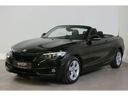 BMW 218 i A Cabrio Sport Line H&K Navi D - Paderborn