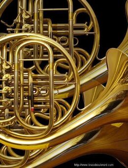 Ein Waldhorn oder Doppelhorn kauft man beim Brassboulevard - Hagenburg