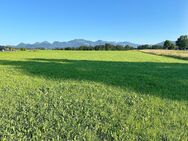 Sonne und Bergpanorama,1.130 m2 großes Baugrundstück in Bachham nähe Prien - Prien (Chiemsee)