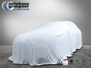 VW Golf Style 1,4 l TSI mit E-Motor 6-Gang-Doppelkupplungsgetriebe DSG - Brandis