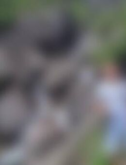 Rom*** - Baltmannsweiler