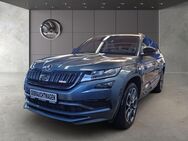 Skoda Kodiaq, 2.0 Bi-TDI, Jahr 2019 - Landsberg (Lech)